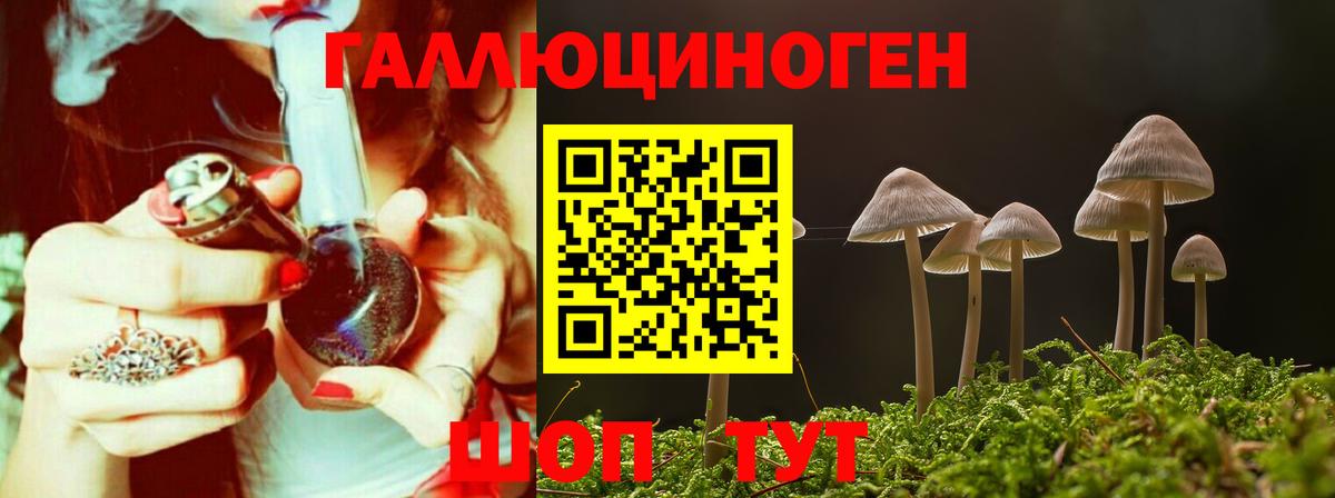 Псилоцибиновые грибы MAGIC MUSHROOMS  Вход с VPN  Кимры 